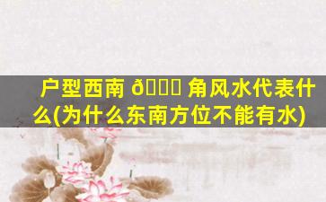 户型西南 🐟 角风水代表什么(为什么东南方位不能有水)